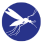 Zanzare