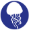 Meduse